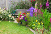 15-garden-tips-for-june-1000x667-6285ff1fe4165_n.jpg__PID:dd07e1dd-64dd-4fd7-b0c6-08b55d925c23